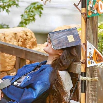 巴山女红军 海报