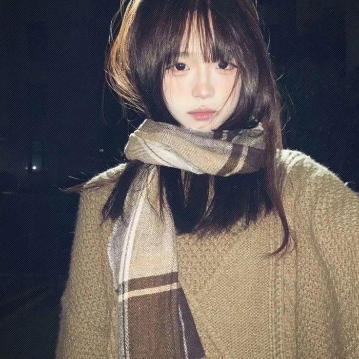 菊石 海报